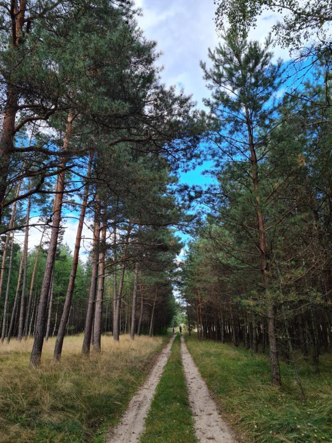 Ostoja Relaksu Cieciorka Villa Kaliska Buitenkant foto