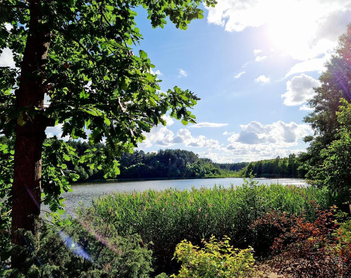 Ostoja Relaksu Cieciorka Villa Kaliska Buitenkant foto